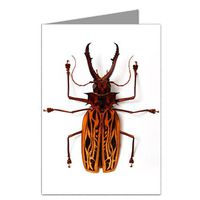 Macrodontia Bug Note Card set