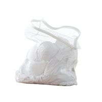 Neatfreak 2 Pack Lingerie Mesh Bags