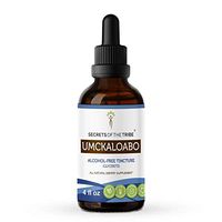 Umckaloabo Alcohol-Free Liquid Extract, Organic Umckaloabo (Pelargonium Sidoides) Dried Root Tincture Supplement (4 FL OZ)