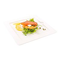 Bagasse Square Plate, Large Square Plate, Dinner Plate - 10" - Durable All Natural, Biodegradable, Disposable Material - 100ct Box - Restaurantware