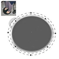 SafetySure 15 inch Pivot Disc