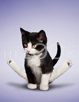 Hi-Look Microfiber Cleaning Cloth - Bebe