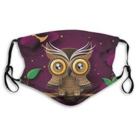 Owl Mouth Guard with Filter Unisex Anti-Dust Washable Reusable Mouth Guard for Kids Teens Adults M