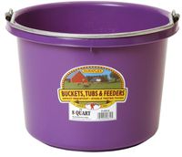 Fortiflex Over The Fence Feeder Bright Purple