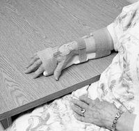 3M Coban Self-Adherent Wrap 3" x 5 yd TAN Case: 24