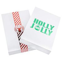 JAM PAPER Large Christmas Boxes - Robe/Sweater Size - 17 x 11 x 2 1/2 - Foil White Christmas Set - 2/Pack