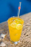 Hummingbird Glass Straws Hawaiian Hibiscus on Clear Straight 9 in x 9.5 mm Straw With Cleaning Brush