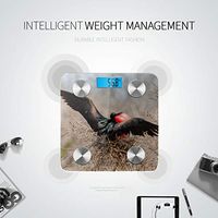 LYAOE Bluetooth Body Fat Scale Great Frigatebird Fregata Minor Galapagos Islands Smart Wireless Scale with LCD Display Measuring Body Weight Bmi and Health Digital Scale