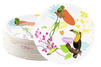 Disposable Plates - 80-Count Paper Plates, Tropical Party Supplies for Appetizer, Lunch, Dinner, and Dessert, Kids Birthdays, Toucan and Birds Design, 9 x 9 Inches