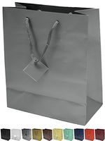 Novel Box® Silver Matte Laminated Euro Tote Paper Gift Bag Bundle 8X4X10 (10 Count) + Custom NB Pouch