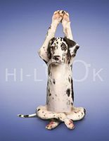 Hi-Look Microfiber Cleaning Cloth - Liza