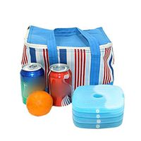Youandmes Reusable Fresh Ice Coolers Box Preservation Ice Box Cold Packs