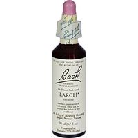 Bach Larch 20 Ml