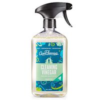 Aunt Fannie's Cleaning Vinegar, Eucalyptus, 16.9 Ounce, 16.9 FZ, 16 Fl Oz