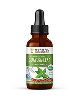 Guayusa Leaf Extract - Clean Energy Boost Drink - Brain Clarify & Focus - Fat Burner Natural Caffeine - Coffee Alternative - Anti-Inflammatory - Organic, Non GMO, Kosher, 1 oz Bottle - Made in USA