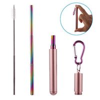4PCS Filter Bar Accessories Reusable Home & Kitchen Telescopic Drinking Straw Cleaning Brush Metal Straw Stainless Steel(rose gold)