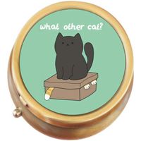 What Other Cat Brass Round Pill Box