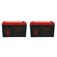 6V 12AH Battery Replaces 10ah Enduring 3FM10 T2, 3-FM-10 T2 by Neptune - 2 Pack