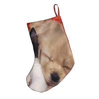 Friend Dogs Animals Cats Amazing Xmas Socks Hanging Decoration Candy Bag Party Holiday Christmas Santa Claus Home Decor Gift