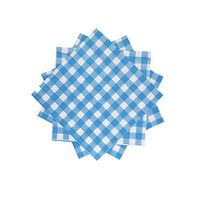 WallyE Gingham Paper Napkins, Blue and White Tartan, Great for BBQ Themed Party, Picnic and Farm Party 20 Pack