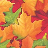Fall Breeze Beverage Napkins 16 Per Pack