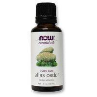New 2007 products Now Foods Atlas Cedar Oil - 1 Fl Oz