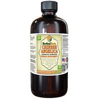 Angelica Chinese (Angelica Sinensis) Tincture, Organic Dried Root Liquid Extract (Brand Name: HerbalTerra, Proudly Made in USA) 32 fl.oz (0.95 l)