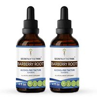 Barberry Root Tincture Alcohol-Free Extract, Organic Barberry (Berberis Vulgaris) Dried Root Bark (2x4 FL OZ)