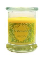 S&M Candle Factory Limoncello Scented Candle Soy Wax Candle (Green Label)