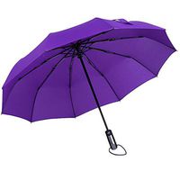 Roysberry Rain UmbrellaWindproof Double Layer Inverted Umbrellas Reverse Folding Umbrella UV Protection 10 Bone Automatic Umbrella