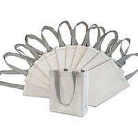 6x3x8" 12 Pcs. Small Metallic Silver Reusable Glitter Gift Bags with Handles, Birthday Party Favor Bags Bags for Weddings, Holidays and All Occasions