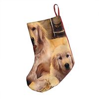 Golden Retriever Puppy Hot Xmas Socks Hanging Decoration Candy Bag Party Holiday Christmas Santa Claus Home Decor Gift