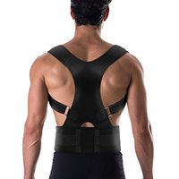 Posture Corrector for Women & Men comfortable Back Brace (Black. L (35"-39") Waist)