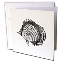 3dRose Butterfly fish - Tropical Fish vintage black and white illustration - Greeting Cards, 6 x 6 inches, set of 12 (gc_164947_2)