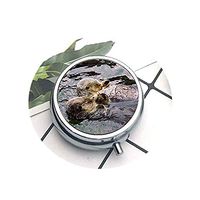 lukuhan Compact 3 Compartment Medicine Case, Pill Box for Pocket or PursePill Box Decorative Pill Case with Gift Box Sea Otter Love Keepsake Custom Image Useful Round