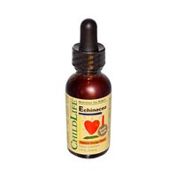 ChildLife Essentials - Children's Echinacea Orange Flavor 1 oz (Pack of 12)