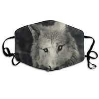 Face Mask Halloween Mystical Wolf Designer Cycling Half Face Earloop Dust Mask For Woman