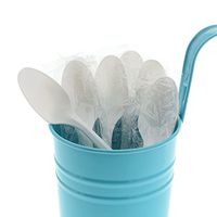 AmerCare Medium Weight Individually Wrapped Disposable White Teaspoons, Case of 1000