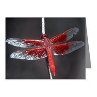Note Card Red Flame Dragonfly