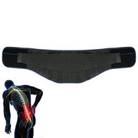 Tcare Lumbar Waist Support Belt, Breathable Mesh Lower Back Waist Support Brace Therapy, Unisex Adjustable Straps Correct Sitting Posture Belt for Relieving Low Back Pain (Blue, L)