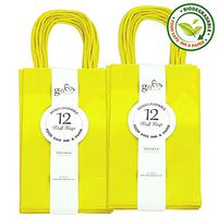Gift Expressions Paper Gift Bags, 24 Count, Yellow Kraft Paper Bags, 5.25” x 8.5” x 3.5", 100% Recycled, Thick & Durable Eco Friendly Paper Bags with Handles, Goodie Bags, Party Bags