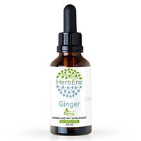 Ginger B60 Alcohol-Free Herbal Extract Tincture, Super-Concentrated Organic Ginger (Zingiber officinale) 2 fl oz