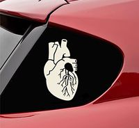 Slap-Art Human Heart Organ Vinyl Decal Sticker (Beige)