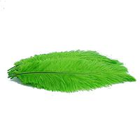 KOLIGHT100pcs Ostrich Feather Green 10"-12" Natural Feathers Wedding, Party,Home,Hairs Decoration
