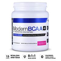 Modern BCAA+® The Better BCAA™ Amino Acids Supplements - Post Workout Muscle Recovery Powder Supplement Drink with Amino Acids - 30 Servings, Watermelon