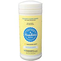 Handzies Natural Soap and Water Hand Wipes, 40 count Pop-up Canister, Hypoallergenic, Tangerine Scent.