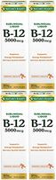 Nature's Bounty B-12 5000 mcg Sublingual Liquid Energy Health, 2 Fl Oz (4 Bottles)