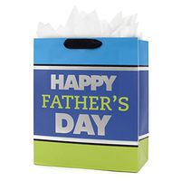Hallmark 5KFB1576 Bag with Tissue, Large Blue and Green