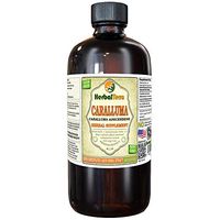 Caralluma, Bengal Quince (Caralluma Adscendens) Dried Root Liquid Extract (Brand Name: HerbalTerra, Proudly Made in USA) 32 oz