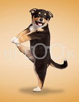 Hi-Look Microfiber Cleaning Cloth - Shana